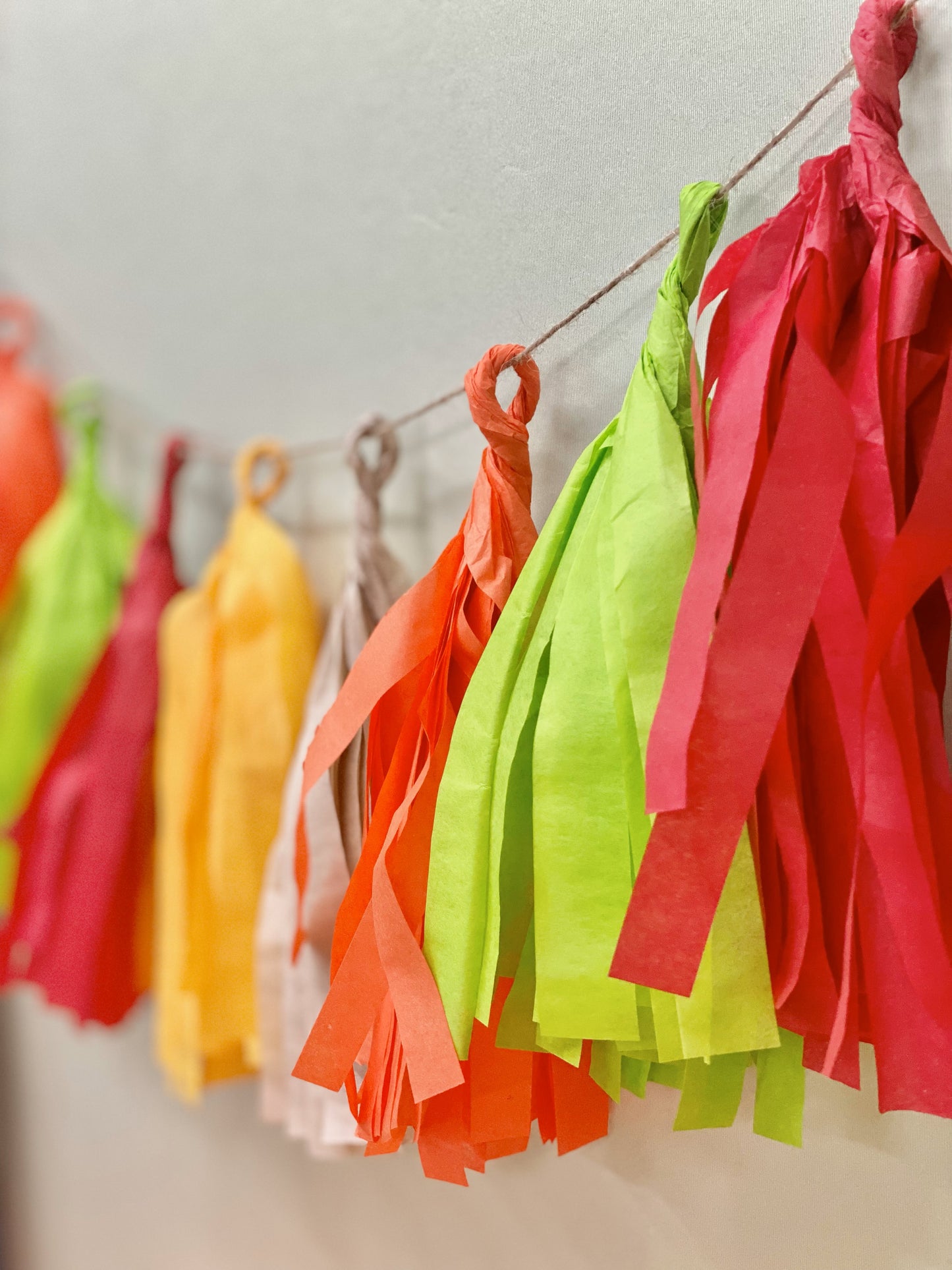 Taco TWOsday DIY Balloon Arch Garland Kit | Red Orange Yellow Blush Lime Green | First Fiesta Taco Kids Adults Birthday Party Organic Balloon Decor