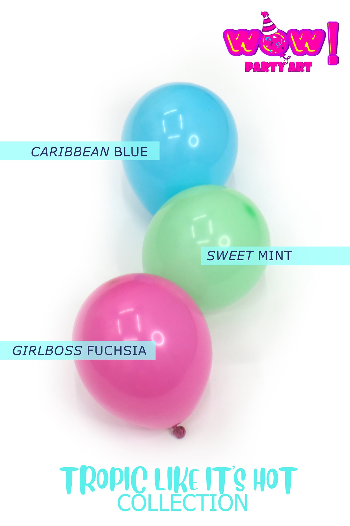 Mermaid Kisses DIY Balloon Arch Garland Kit | Hot Pink Aqua Mint Silver | Tropical Mermaid Ocean Themed Kids Birthday Party Balloon Decor