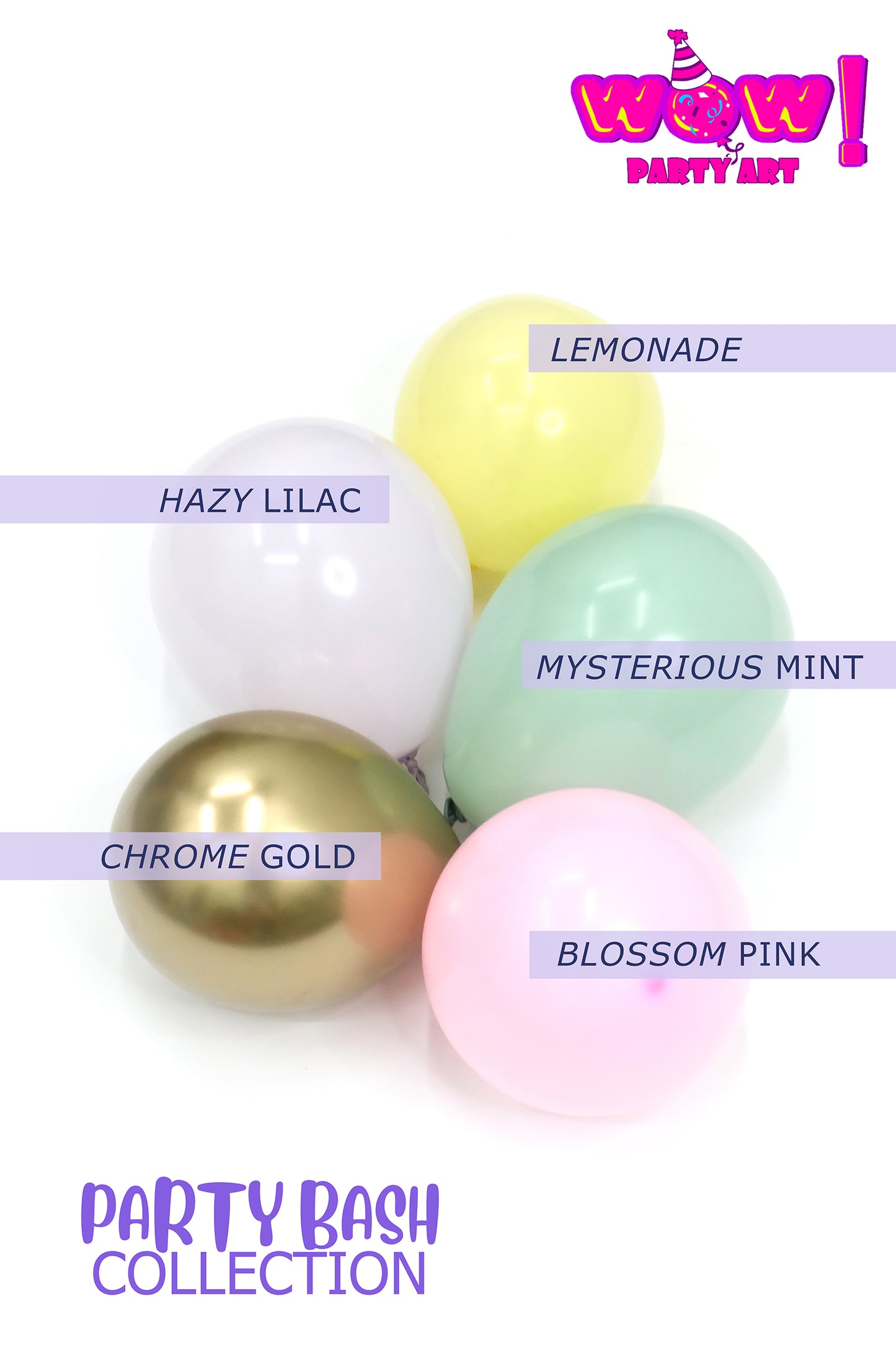 Born To Shine DIY Balloon Arch Garland Kit | Pastel Blue Pink Mint Yellow | Easter Bunny Unicorn Pastel Rainbow Party Balloon Decorations