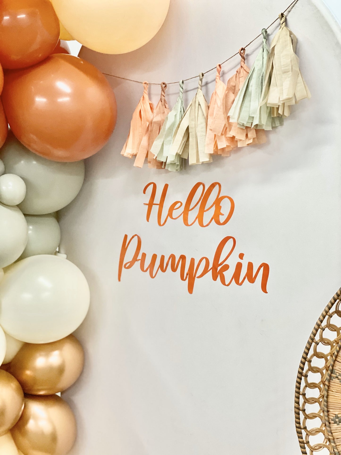 Hello Pumpkin DIY Balloon Arch Garland Kit | Muted Boho Beige Blush Burnt Orange Neutral | Fall Baby Shower Party Balloon Decor